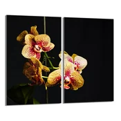 shumee Steklena zaščitna plošča za štedilnik 2x30x52 Orchidea