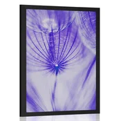 Plakat regrat v vijolični varianti - 40x60 no frame