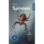 Basic Spinnen