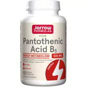Pantotenska kislina B5, 500 mg - 100 kapsul