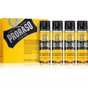 Proraso Wood and Spice Hot olje za brado  4 x 17 ml