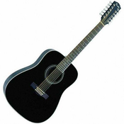 FENDER WESTERN kitara DG-16 XII