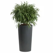 shumee Urbanika ECO cvetlični lonček antracit v75x40,9 cm