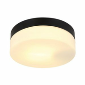 GLOBO plafonejra Vranos 32111B