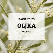 Bachove kapljice 23, Oljka - Olive, 10 ml