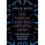 The Cortex and the Critical Point