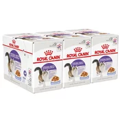 Royal Canin STERILISED in Jelly žele v vrečici 36 x 85 g