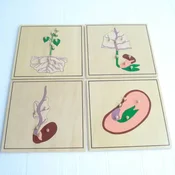 Montesori Botanicke puzzle