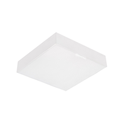 Emithor 63217 - LED plafonsko svetlo SURFACE LED/20W/230V