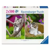 Puzzle 2x500 kos - Mladički mačk na deželi