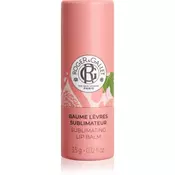 Roger & Gallet Fleur de Figuier Sublimating Lip Balm balzam za ustnice 3.5 g
