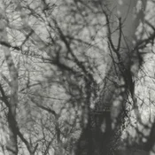 Grouper - Way Their Crept (Reissue) (LP)