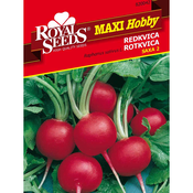 SEME ROYAL SEEDS 42 Redkvica Saxa (Non Plus Ultra)