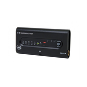 Uglaševalec IT-30 PS902.109 Gewa Pure