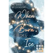 When We Burn Like Ice