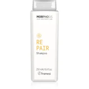 Framesi Morphosis Repair obnovitveni šampon za suhe, obremenjene lase 250 ml