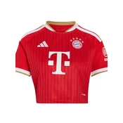 ADIDAS PERFORMANCE Dres FC Bayern München 26/27 bež/rdeča/temno rdeča/bela