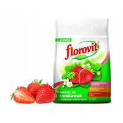 shumee Florovit gnojilo za jagode in sadno grmičevje 1 kg granul