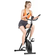 ISCOOTER FORMILL YZJ-508 zložljivo sobno kolo, 6 kg vztrajnik, 16 stopenj magnetnega upora