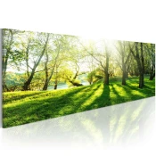 Slika - Rays of Sunshine 135x45