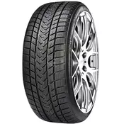 Gripmax Suregrip Pro Winter ( 255/45 R19 104V XL )