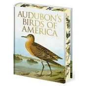 Audubons Birds of America