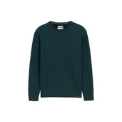 TOM TAILOR Pulover temno zelena