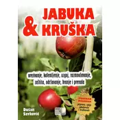 Jabuka i kruška - Dušan Savkovic ( 11627 )