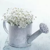 ŠTAMPA NA PLATNU   28/28 cm
