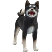 Mojo Dog Shiba Inu črna