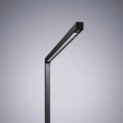 Waldmann LED-stoječa svetilka Straight.single, črna, 4000 K, pametna, s senzorjem - Študija/pisarna - Sodobni - črno - Aluminij