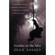 Gorillas in the Mist