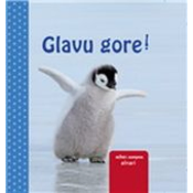 GROH mini Glavu gore