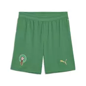 PUMA Morocco 2026 Shorts Men, Football, Archive Green/Victory Gold, XL