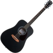 Pasadena PD-200 Black Akustična kitara