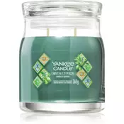 Yankee Candle Olive & Cypress dišeča sveča 368 g
