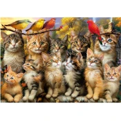 Educa - Puzzle Kittnes and Birds - 500 dijelova