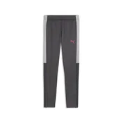 PUMA IndividualLIGA Football Training Pants Youth, Clothing, Strongray/Red/Gray Echo, 13-14Y