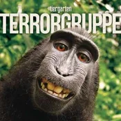 Terrorgruppe - Tiergarten (Limited Edition) (Box Set) (LP)