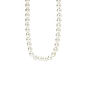 2Jewels 251897