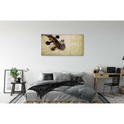 tulup.si Slika na akrilnem steklu Kitara opombe 125x50 cm 4 obešalnika