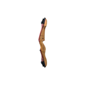Leseni riser WNS Progresser