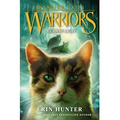 Warriors: Changing Skies 4: Guiding Light