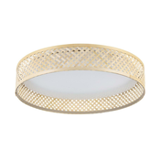 Eglo 900464 - LED plafonsko svetlo LUPPINERIA LED/24W/230V