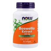 NOW FOODS Boswellia Extract 500 mg 90 kaps.