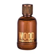 Dsquared2 Wood toaletna voda 100 ml za muškarce