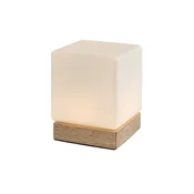 NAMIZNA SVETILKA PIRIT LED 1.2/BUKEV/IP20/40lm RA76003