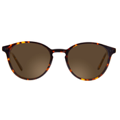 Noel Shades