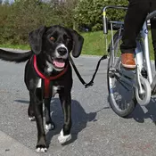 TRIXIE Set za bicikl DE LUXE