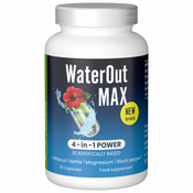 WaterOut MAX